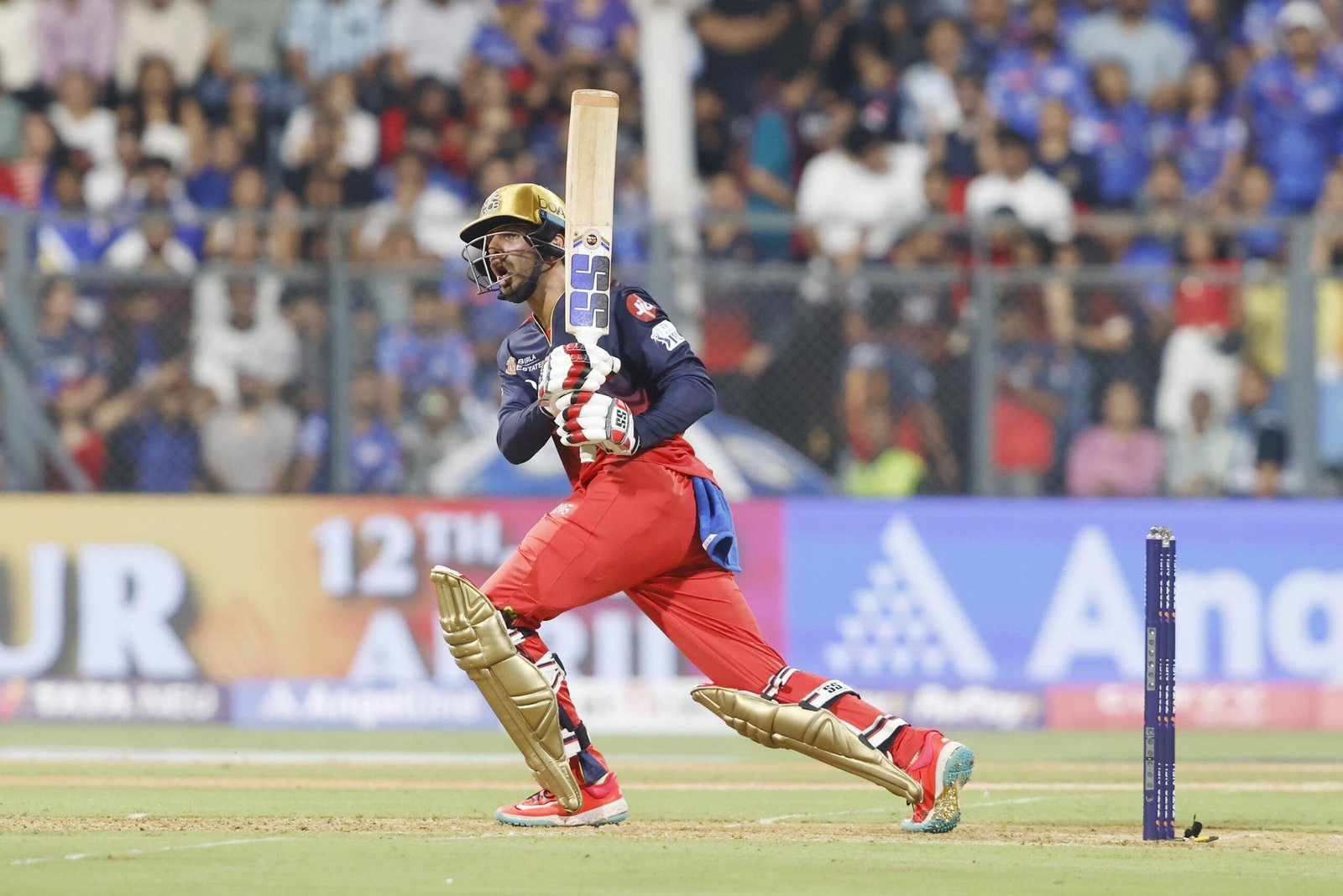 Jitesh Sharma Stats